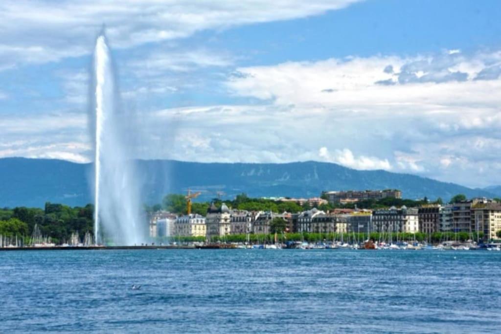 Modern'Blue - Gare Annemasse A 3Min-Geneve Acces Direct Apartment Екстериор снимка